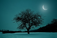 На Лаврентия наблюдали за луной... (Фото: Smit, Shutterstock) 