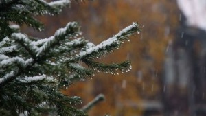 Снег и дождь. Фото: Михаил Хаустов.