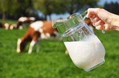 Считалось, что в этот день коровы, наевшись свежей и сочной травы, приносят самое вкусное и густое молоко (Фото: Alexander Chaikin, Shutterstock) 