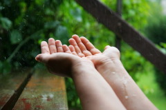 В народе замечали: если на Ивана Долгого идет дождь, то весь месяц будет сухим (Фото: Jurgita Genyte, Shutterstock)