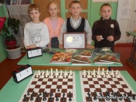 Шахматный инвентарь в Лобанихинской СОШ