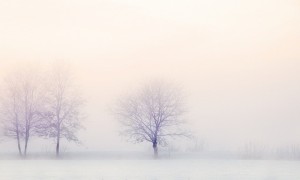 winter-landscape-2571788_1280