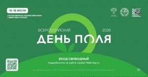 День поля